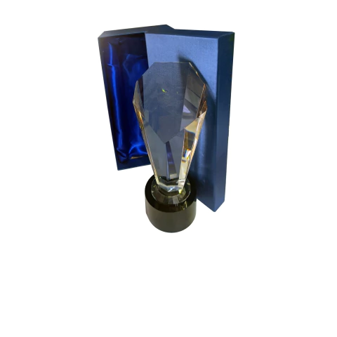 Placa Conmemorativa Trofeo - comprar online