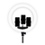 RINGH LIGHT 22 POLEGADAS BJ-560