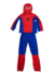 FANTASIA INFANTIL HOMEM ARANHA GO-2285-1 - comprar online