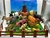 ANIMAL DE PLASTICO FARM SET H638