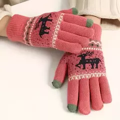 Guantes Reno Touch Screen - Erinfebo