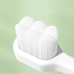 Cepillo de dientes Lyon - Erinfebo