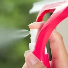 Limpiavidrios con atomizador en internet