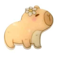 APLIQUE ACRÍLICO IMPRESSO CAPIVARA (2 UNIDADES) na internet