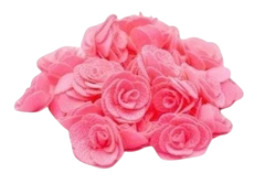 APLIQUE ROSA TECIDO 2,5 CM- 5 UNIDADES COR ÚNICA - comprar online