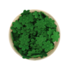 APLIQUE FLORZINHA PRENSADA TECIDO VERDE - 50 UNIDADES