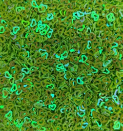 APLIQUE CONFETE CORAÇÃO VAZADO VERDE LIMÃO (4MM) - 10G - comprar online