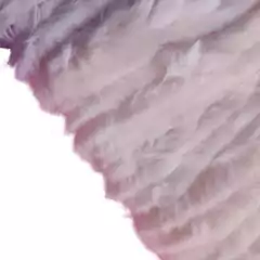 TIRA DE PELÚCIA ROSA BEBÉ - METRO