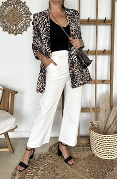 Blazer Lucre en internet