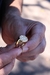 ANEL MEDALHA SÃO BENTO - 5.8G - BANHADO EM OURO 18K na internet