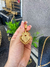 PINGENTE LOUROS MÃE (P) - 6G - 3,5X4CM - BANHADO EM OURO 18K