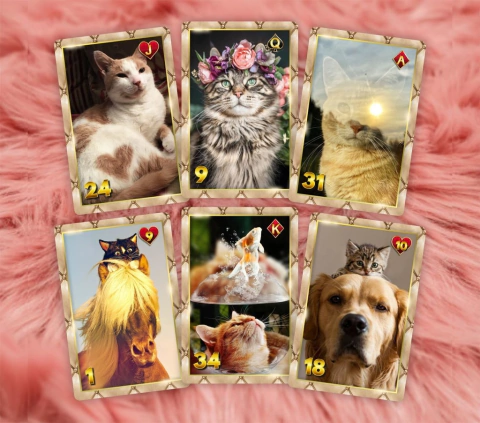 7 Vidas Lenormand
