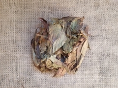 Achira roja (caja grande)