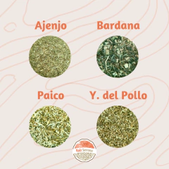 Kit Hierbas Desparasitantes - comprar online