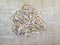 Olivo (caja chica)