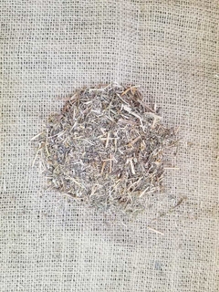 Sanguinaria (caja grande)