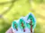 Molde Silicone Pinheiros Bosque
