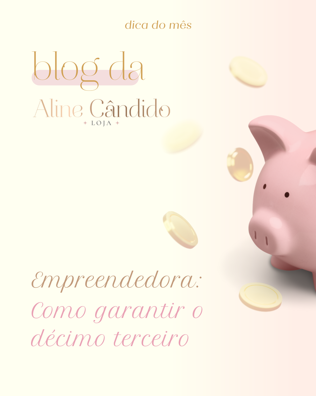 Banner de Loja Aline Candido