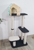 Gimnasio Logan - Purfect Tienda Felina