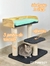 Gimnasio Michulino