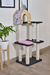 Imagen de Gimnasio Rex