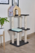 Gimnasio Rex