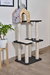 Gimnasio Rex - comprar online