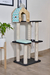 Gimnasio Rex - tienda online