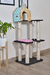 Imagen de Gimnasio Rex