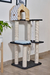 Gimnasio Rex - comprar online