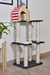 Gimnasio Rex - Purfect Tienda Felina
