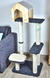 Gimnasio Logan en internet