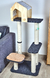 Gimnasio Logan en internet