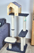 Gimnasio Logan - Purfect Tienda Felina