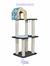 Gimnasio Rex