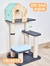 Gimnasio Blue