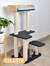 Gimnasio Michulino XL en internet
