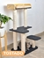 Gimnasio Michulino XL
