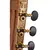 Violão BENSON Classico Cutway GC-100 E N Nylon Brilhante na internet