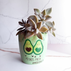 MACETA SIMPLE - PALTA