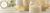 Imagem do banner rotativo Evolution Shape