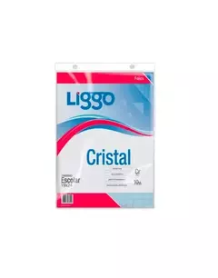 Folio Liggo cristal 40 mic escolar x 10 unidades