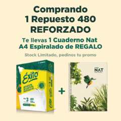 Repuesto Éxito 480 Rayado Margen Reforzado 100 grs + Cuaderno Gratis - comprar online