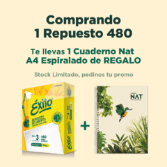 Repuesto Éxito 480 Rayado 100 grs + Cuaderno Gratis - comprar online