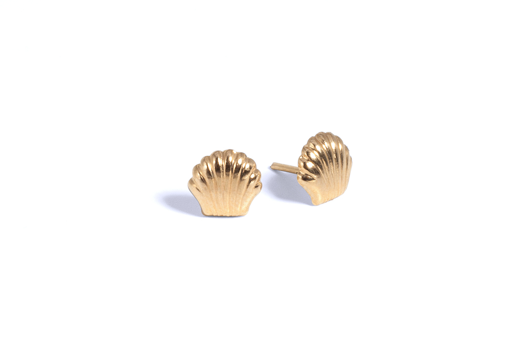 O Seashells thumbnail 3