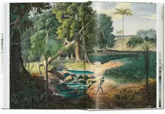 El libro de las palmeras - comprar online