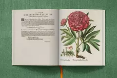 Basilius Besler - comprar online