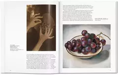 O'Keeffe en internet