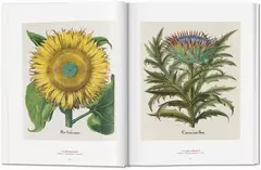 A Garden Eden