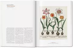 A Garden Eden - comprar online